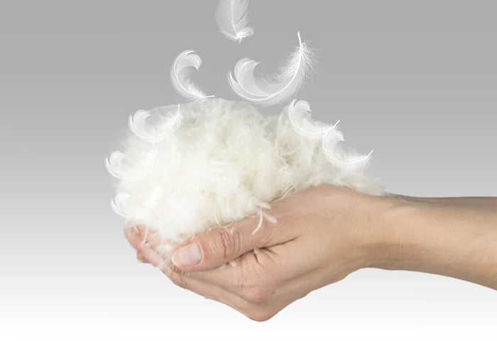 Pūkas ir plunksnos yra natūralios termoreguliacinės medžiagos – žiemą šildo, o rudenį ir pavasarį vėsina.