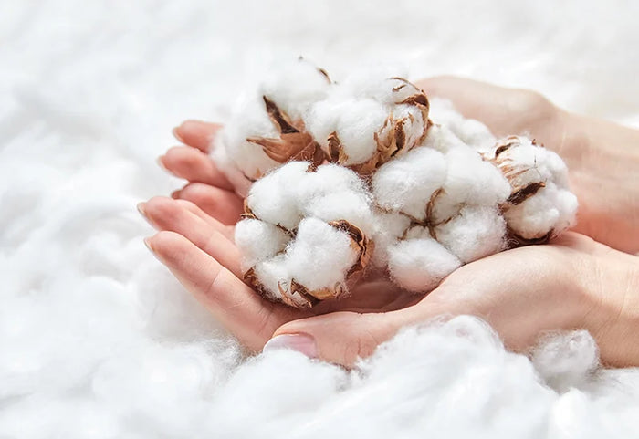 100 % medvilnės minkštumas.