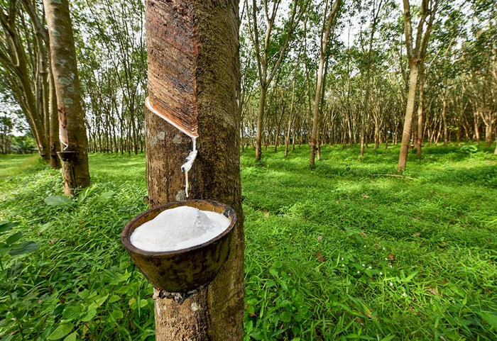 100 % lateksas suteikia tinkamą atramą visą naktį.