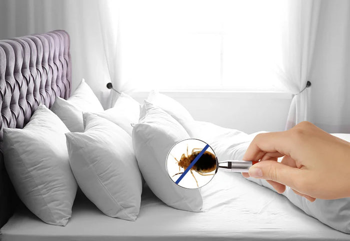 Pagalvė yra atspari dulkių erkėms.