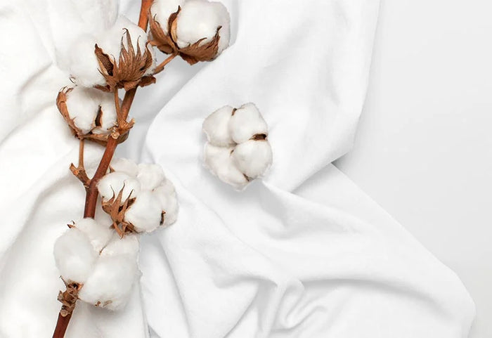 2 stiliai, 2 atspalviai.