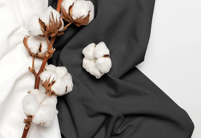 Gamtos prisilietimas.