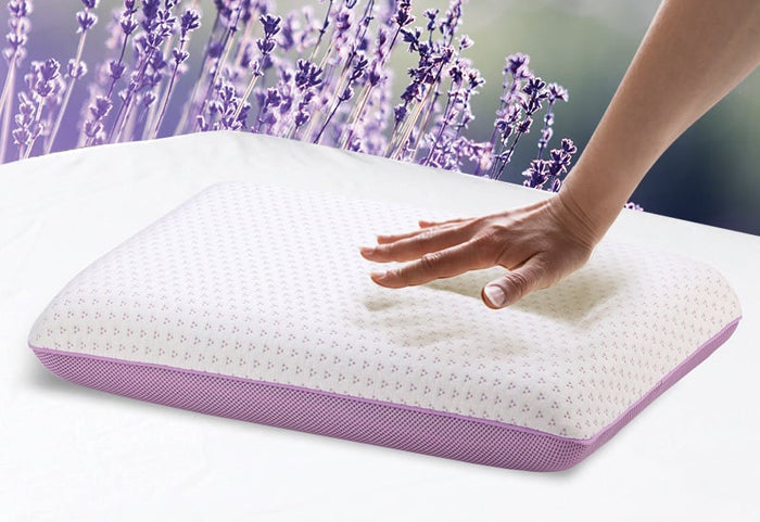 Puikiai prisitaikančios Memory putos.