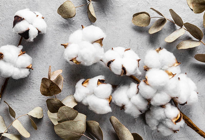 Ryšys su natūraliomis medžiagomis.